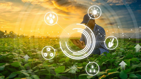 untitled design 2026 02 23t230831.228