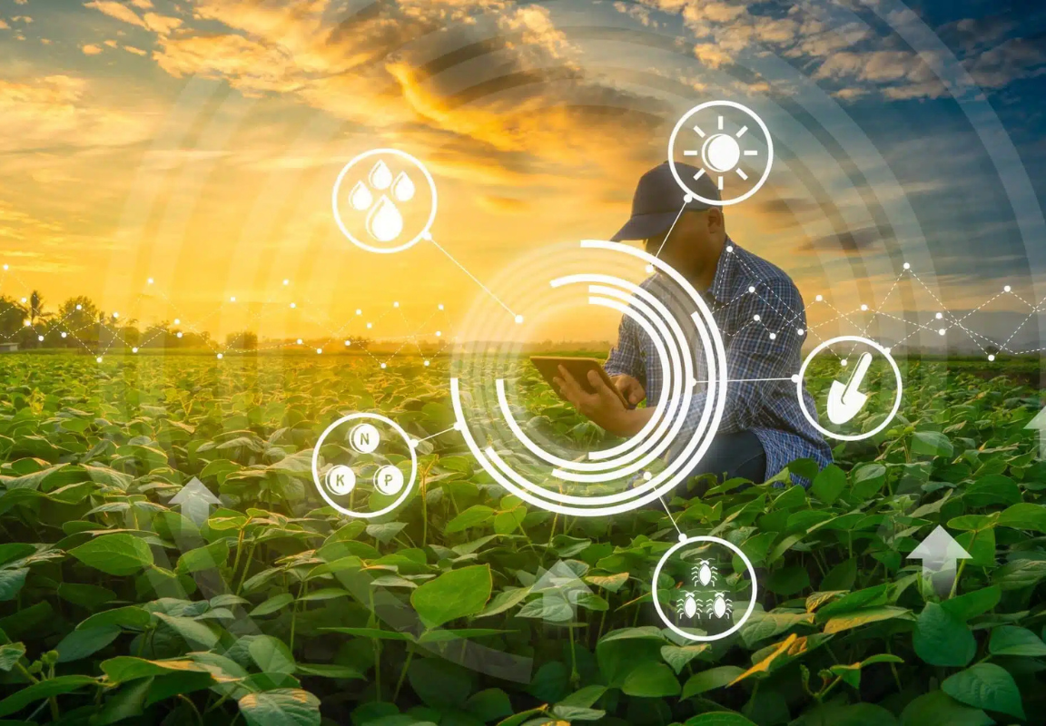 untitled design (70)